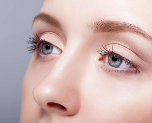 female eye zone and brows with day makeup female eye zone and brows with day makeup