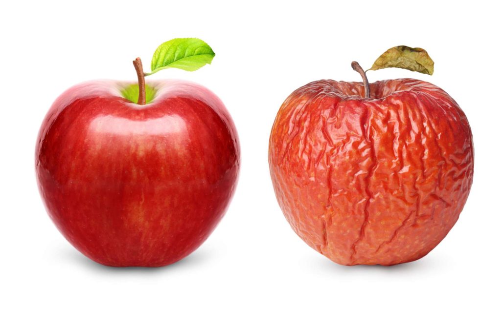 Wrinkled and fresh apple isolated Wrinkled and fresh apple isolated